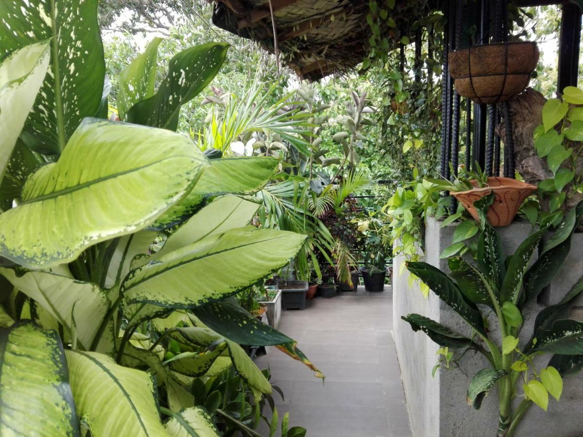 Sacred City Tourist Resort Anuradhapura Exterior photo